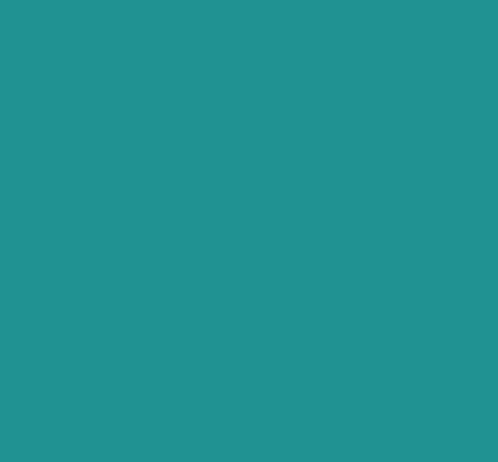 BLEU ROLLAND NV 351