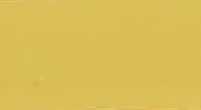 RAL 1002 JAUNE SABLE