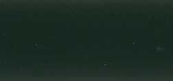 RAL 6009 VERT SAPIN