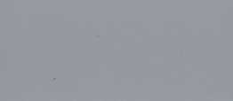 RAL 7040 GRIS FENETRE