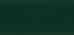 RAL 6005 VERT MOUSSE