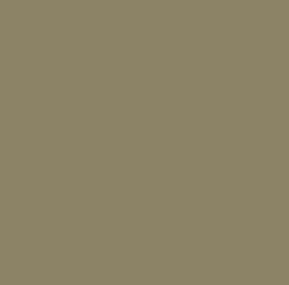 BEIGE ZETOR METAL 507