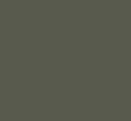 GRIS FENDT 606