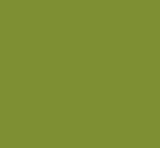 VERT CLAAS SENATOR 1844
