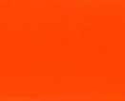 ORANGE RINIERI 2109