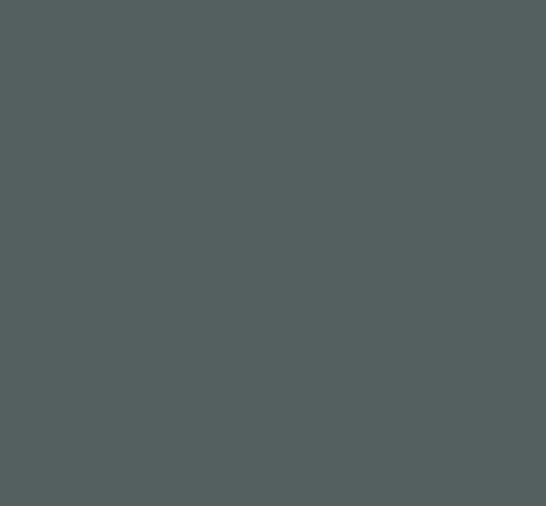 GRIS STEYR 715