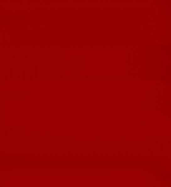 ROUGE FILLION 1507