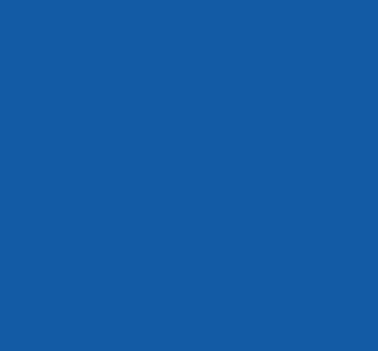 BLEU BLANCHARD NV 342