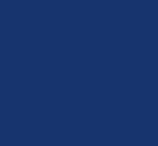 BLEU BOGBALL 345