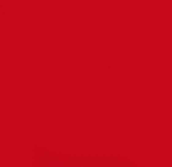 ROUGE STEYR 1464