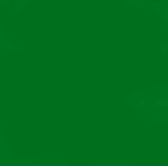 VERT DELTA FORCE 1741
