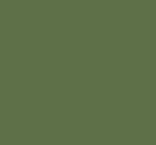 VERT TECHNOMA 1610