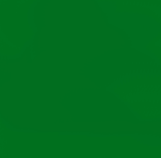 VERT VERT LOISIRS 1830