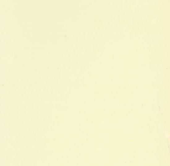 BLANC BRAUN 260