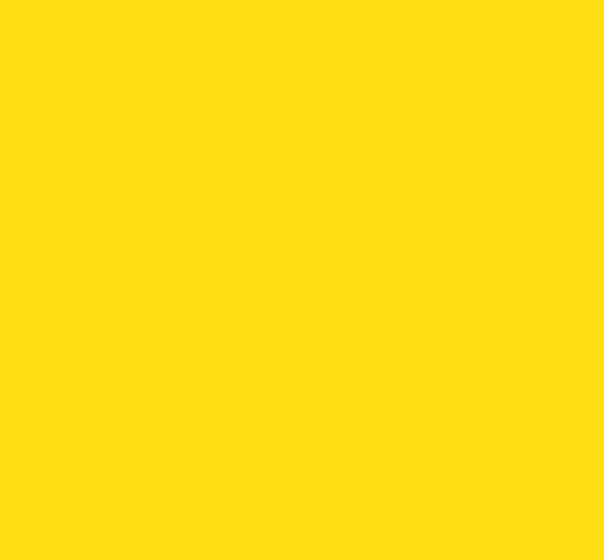 JAUNE BEDNAR 842