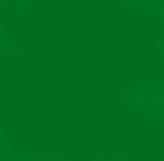 VERT AGRO-MASZ 1819