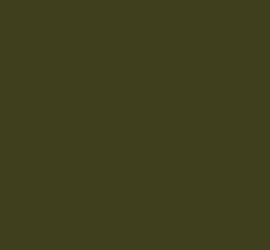 ARMY VERT ARMEE OTAN